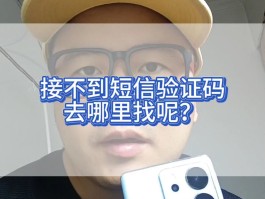 个人网站短信验证码是什么意思啊怎么弄
