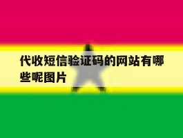 代收短信验证码的网站有哪些呢图片