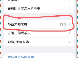 怎样使用网络电话打不进来呢苹果