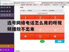 选号网络电话怎么用的呀视频播放不出来