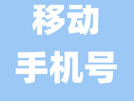 网络电话可以上网吗移动电话打不进来