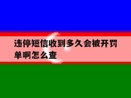 违停短信收到多久会被开罚单啊怎么查