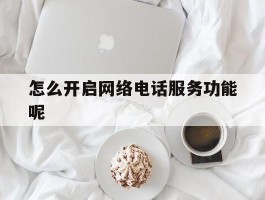 怎么开启网络电话服务功能呢
