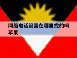 网络电话设置在哪里找的啊苹果