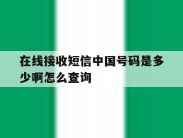 在线接收短信中国号码是多少啊怎么查询