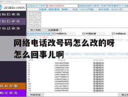 网络电话改号码怎么改的呀怎么回事儿啊的简单介绍