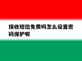接收短信免费吗怎么设置密码保护呢