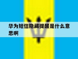 华为短信隐藏提醒是什么意思啊