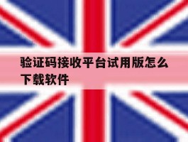 验证码接收平台试用版怎么下载软件