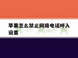 苹果怎么禁止网络电话呼入设置