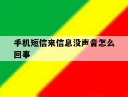 手机短信来信息没声音怎么回事