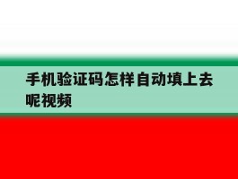 手机验证码怎样自动填上去呢视频