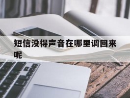 短信没得声音在哪里调回来呢