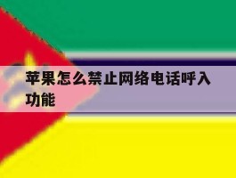 苹果怎么禁止网络电话呼入功能