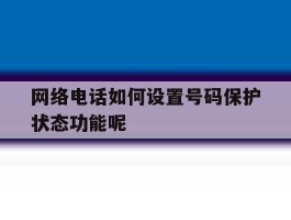 网络电话如何设置号码保护状态功能呢