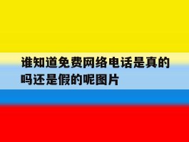 谁知道免费网络电话是真的吗还是假的呢图片