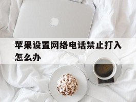 苹果设置网络电话禁止打入怎么办