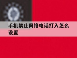 手机禁止网络电话打入怎么设置