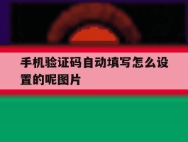 手机验证码自动填写怎么设置的呢图片