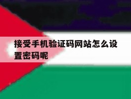 接受手机验证码网站怎么设置密码呢