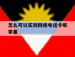 怎么可以买到网络电话卡呢苹果