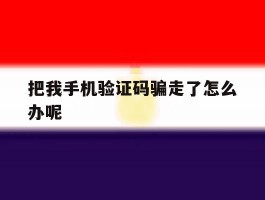 把我手机验证码骗走了怎么办呢