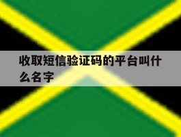 收取短信验证码的平台叫什么名字