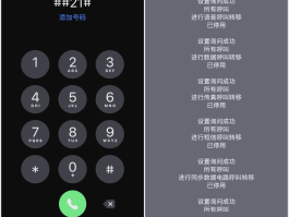 网络电话能设置电话号码吗怎么设置的呢苹果