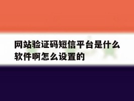 网站验证码短信平台是什么软件啊怎么设置的