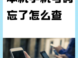 手机验证码在哪儿看到