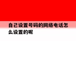 关于自己设置号码的网络电话怎么设置的呢的信息