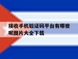 接收手机验证码平台有哪些呢图片大全下载的简单介绍