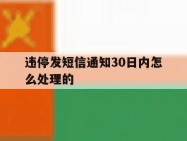 违停发短信通知30日内怎么处理的