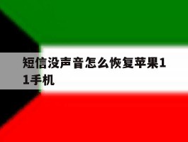 短信没声音怎么恢复苹果11手机