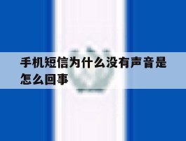 手机短信为什么没有声音是怎么回事
