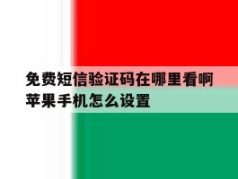 免费短信验证码在哪里看啊苹果手机怎么设置