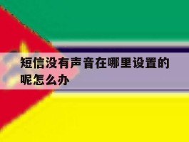 短信没有声音在哪里设置的呢怎么办的简单介绍
