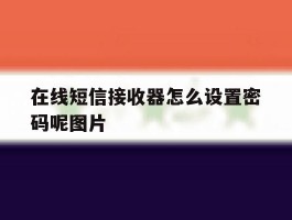在线短信接收器怎么设置密码呢图片