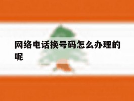 网络电话换号码怎么办理的呢