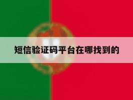 短信验证码平台在哪找到的
