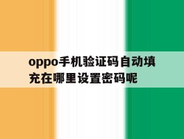 关于oppo手机验证码自动填充在哪里设置密码呢的信息