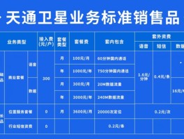 电信卫星通话收费标准表格图片大全