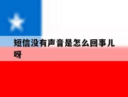 短信没有声音是怎么回事儿呀