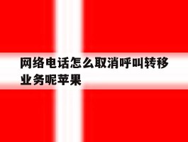 网络电话怎么取消呼叫转移业务呢苹果