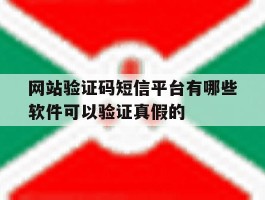 网站验证码短信平台有哪些软件可以验证真假的的简单介绍