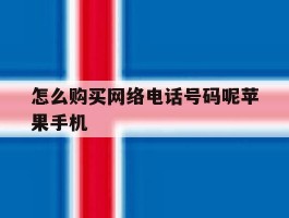 怎么购买网络电话号码呢苹果手机的简单介绍