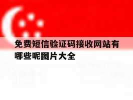 免费短信验证码接收网站有哪些呢图片大全